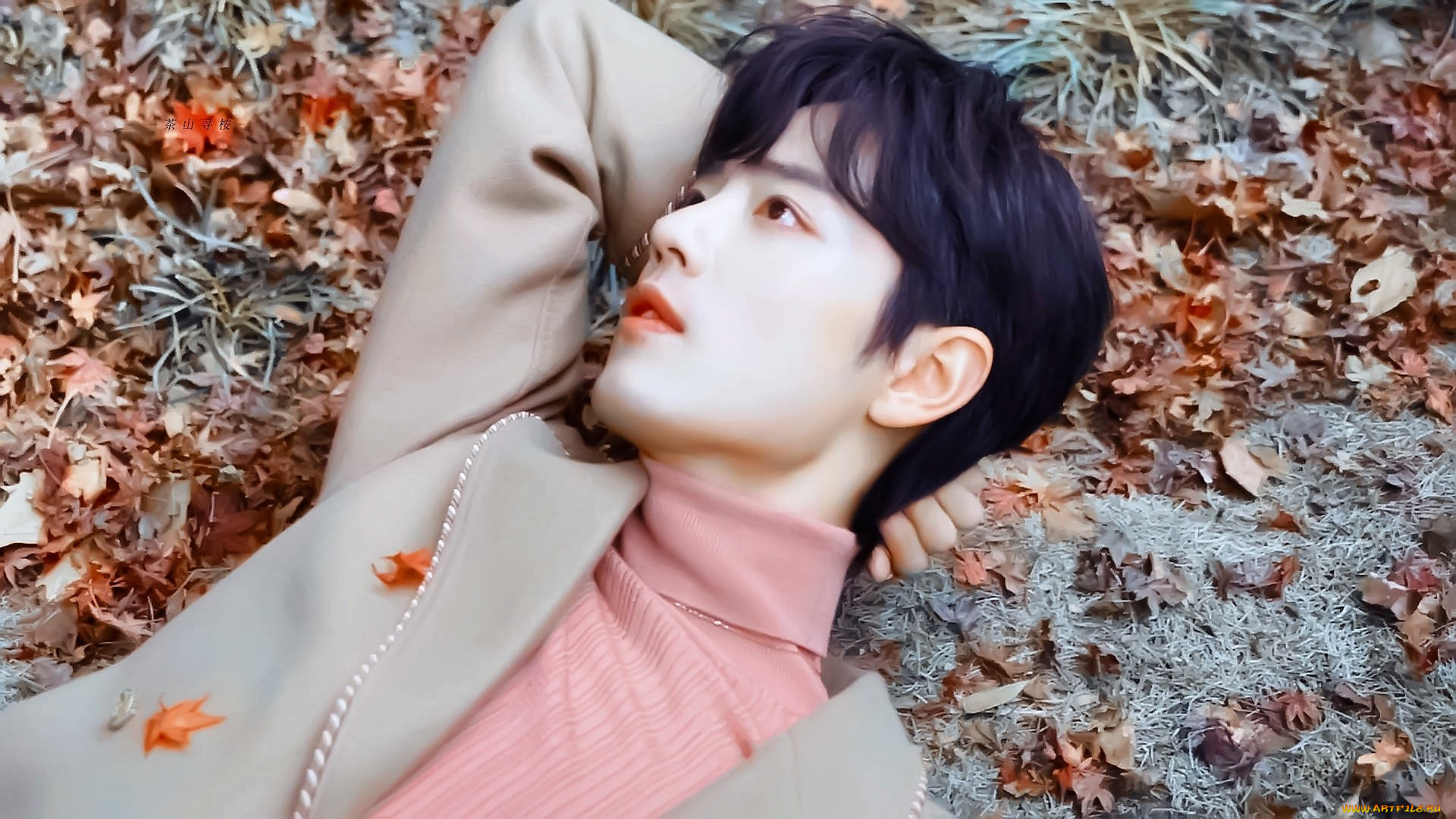 , xiao zhan, , , , 